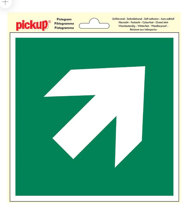 PICTOGRAM 20X20CM PLAATS VLUCHTWEG PIJL SCHUIN PICKUP