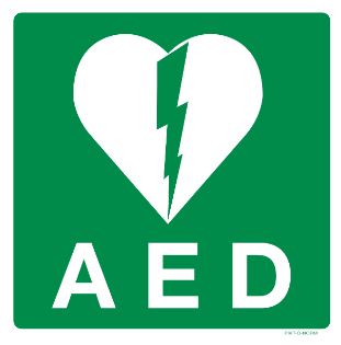PICTOGRAM AED PP 200 PIKTONORM