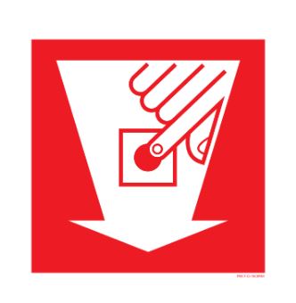 PICTOGRAM BRANDALARM PP200 PIKTONORM