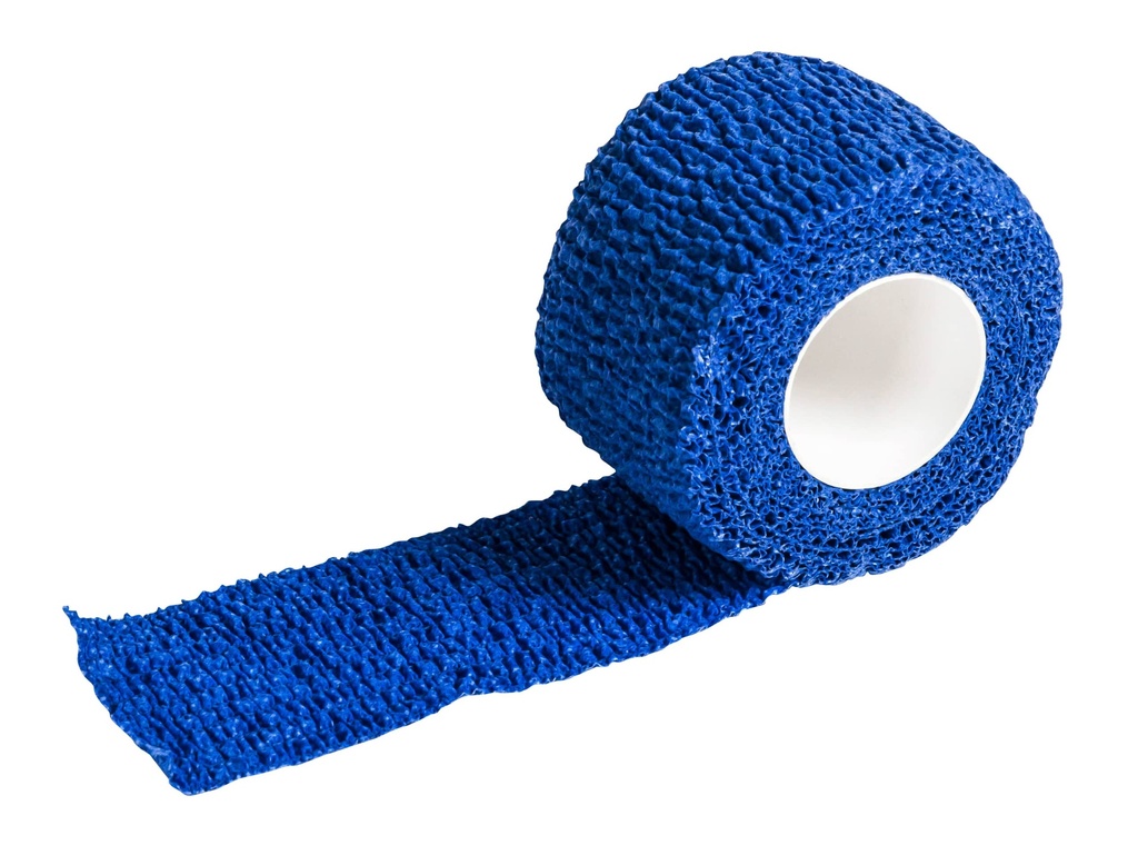 SNEL PLEISTER 2.5CM X 4.5M BLAUW ORTHO