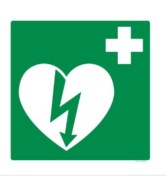 PICTOGRAM AED ILCOR PP 300 PIKTONORM