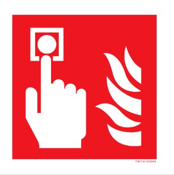 PICTOGRAM BRANDALARM EN VLAM PP150 PIKTONORM