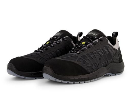 VEILIGHEIDS SCHOEN DASSY NOX S3  