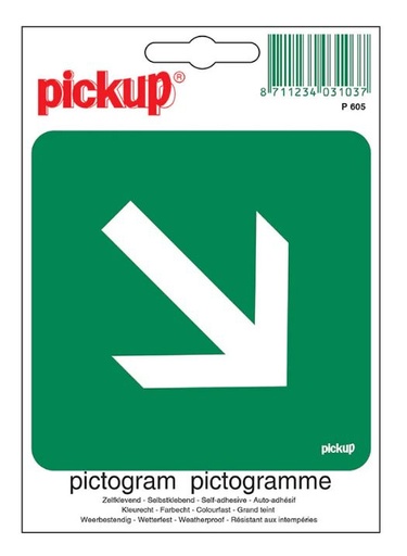 [P605] PICTOGRAM 10X10CM VLUCHTWEG SCHUIN PICKUP