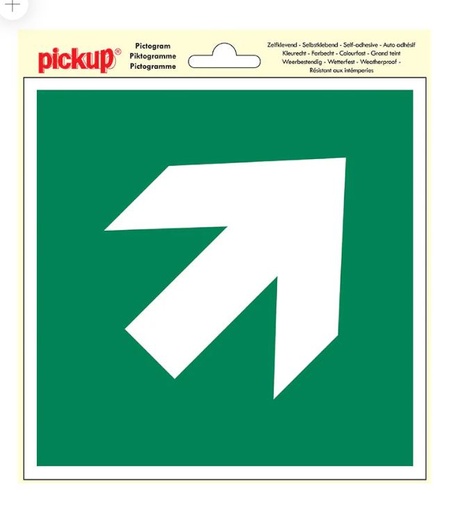 [60520] PICTOGRAM 20X20CM PLAATS VLUCHTWEG PIJL SCHUIN PICKUP